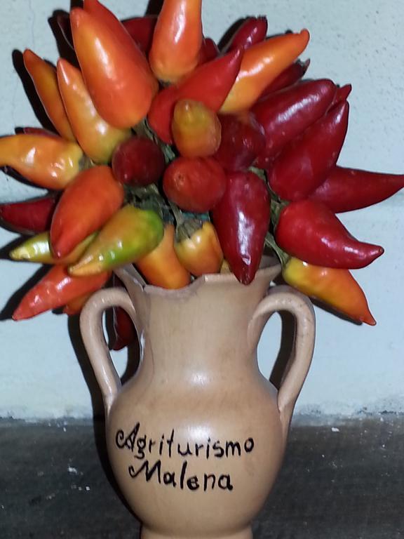 Agriturismo Malena Amica 外观 照片