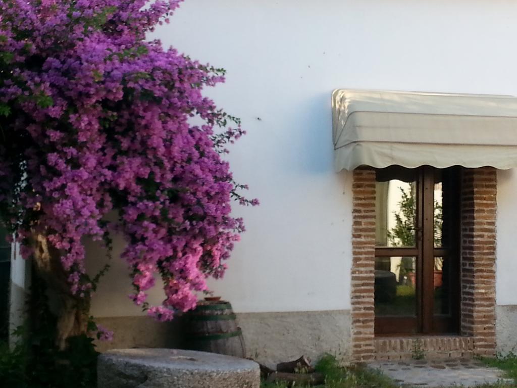 Agriturismo Malena Amica 外观 照片
